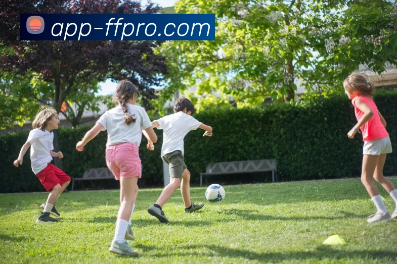 多媒体互动体验